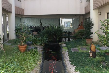 中庭の小さな池