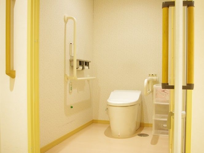 丈夫な手すりが両側に付いたトイレの様子。立上り、移動を助ける設備付きトイレ