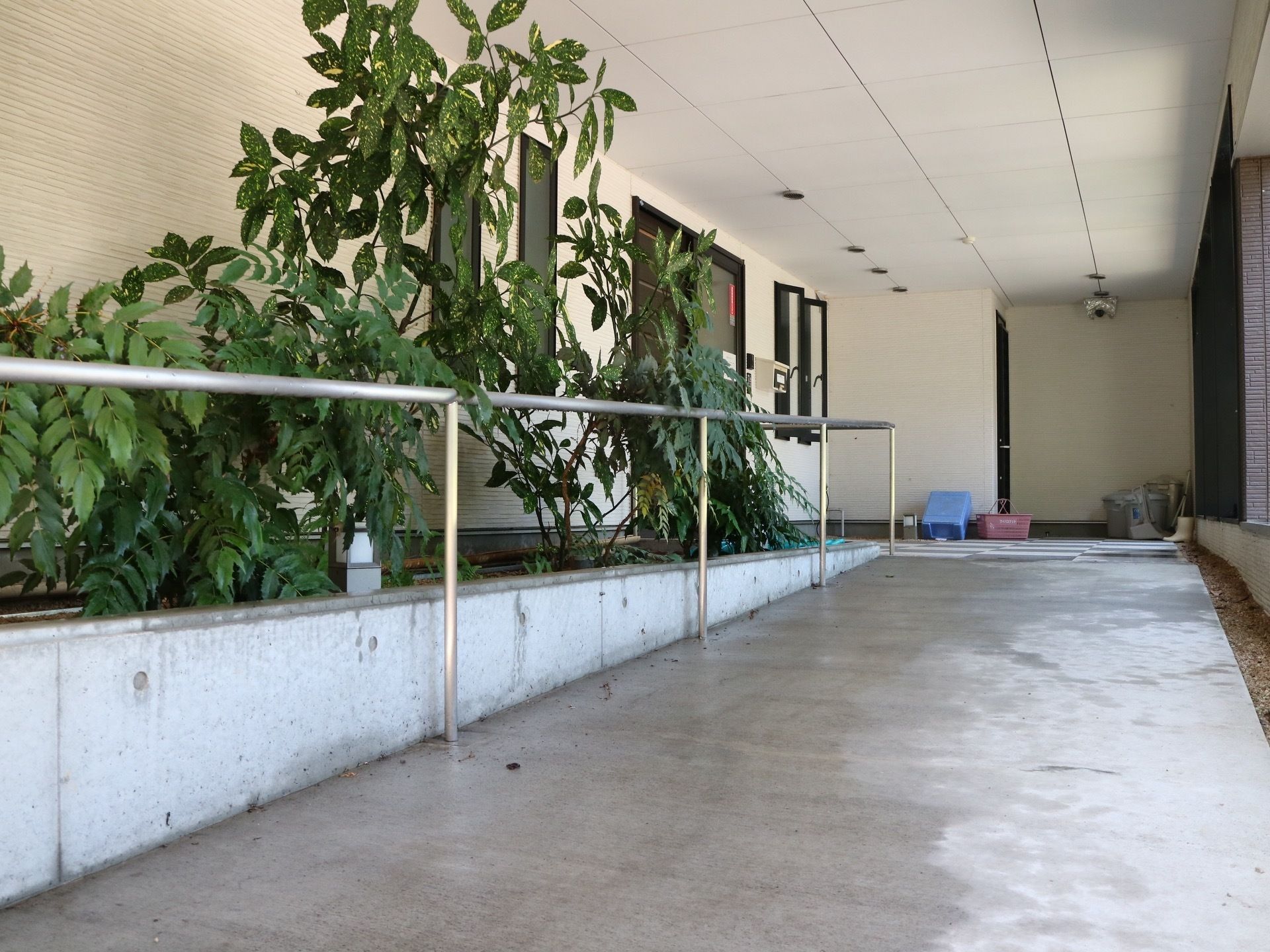 施設の玄関までは建物の１階部分が玄関になっており、緩やかなスロープになっている。壁に沿って植物が植えられている。