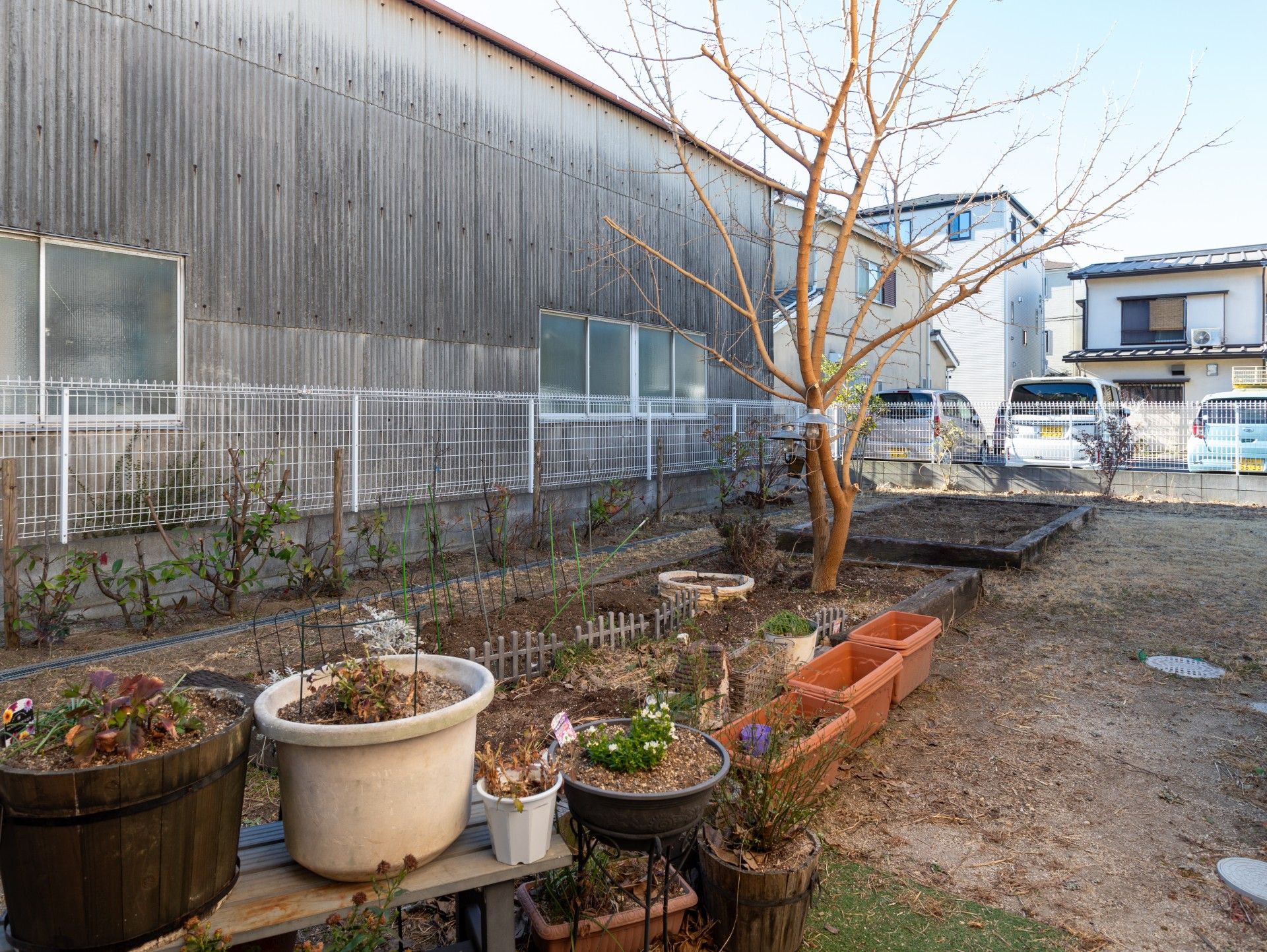 庭の植栽と鉢植え