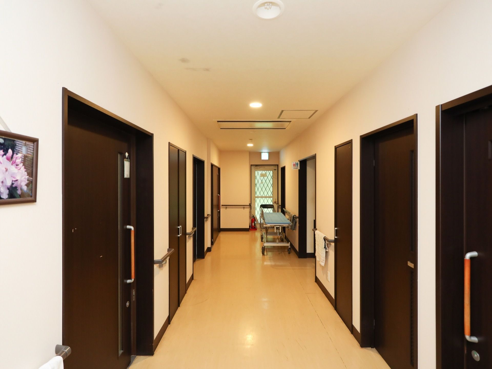 通路は広々としており、両側にはこげ茶色のドアが並んでいる。天井には丸い小さな照明が等間隔に設置されている。