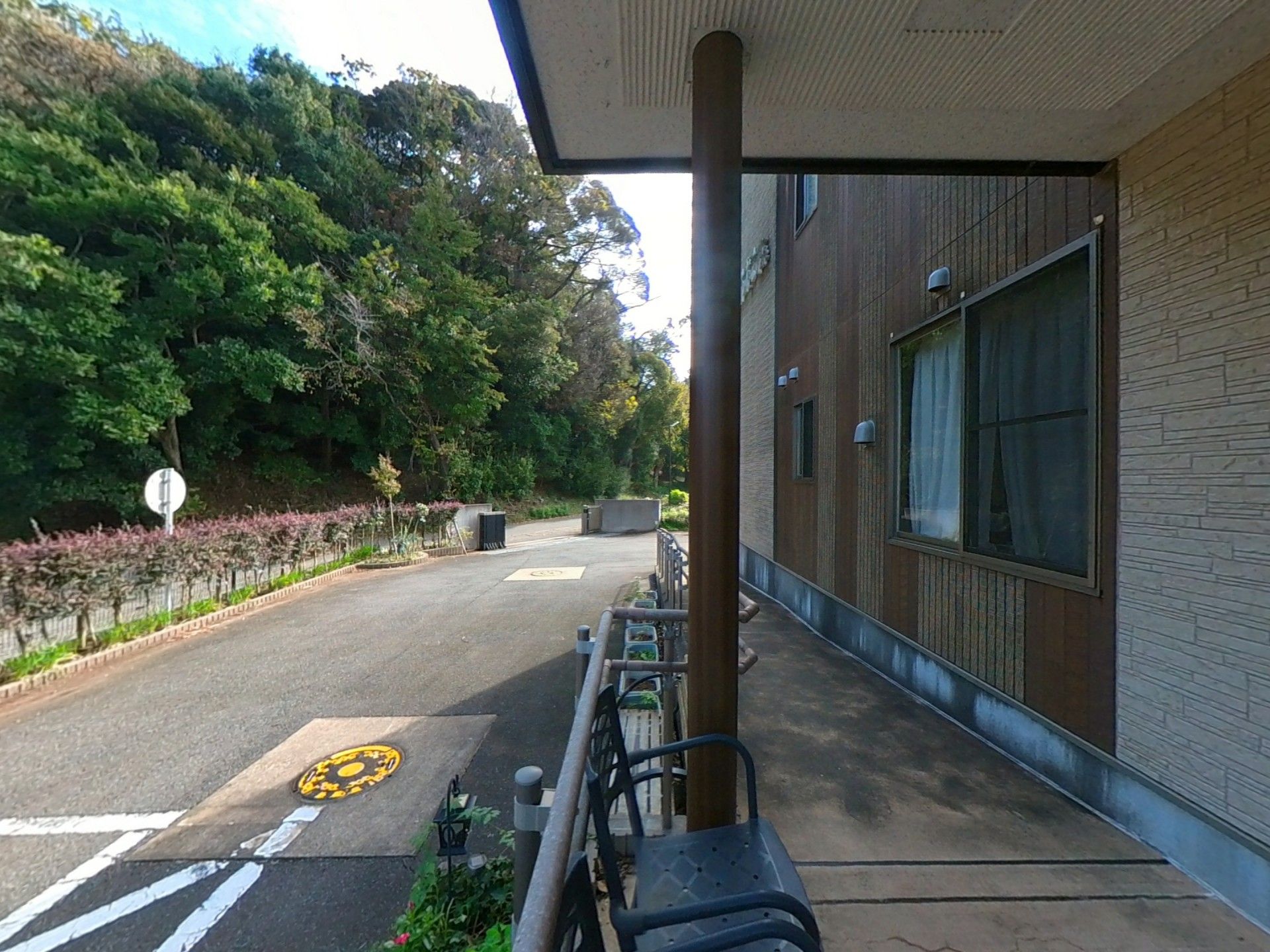 緑豊かな散歩道