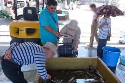 魚を観察する人々