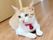 かわいいねこ