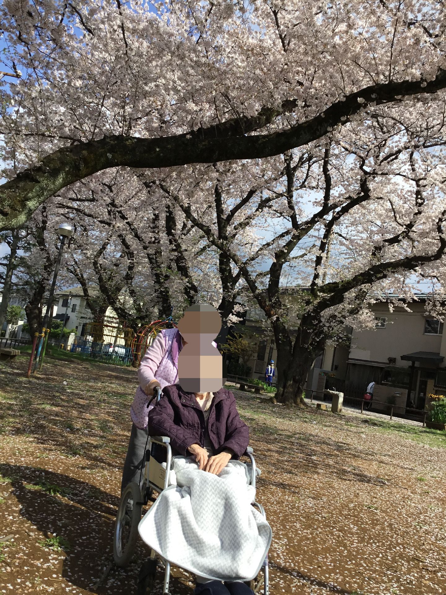 桜と共に過ごすひと時