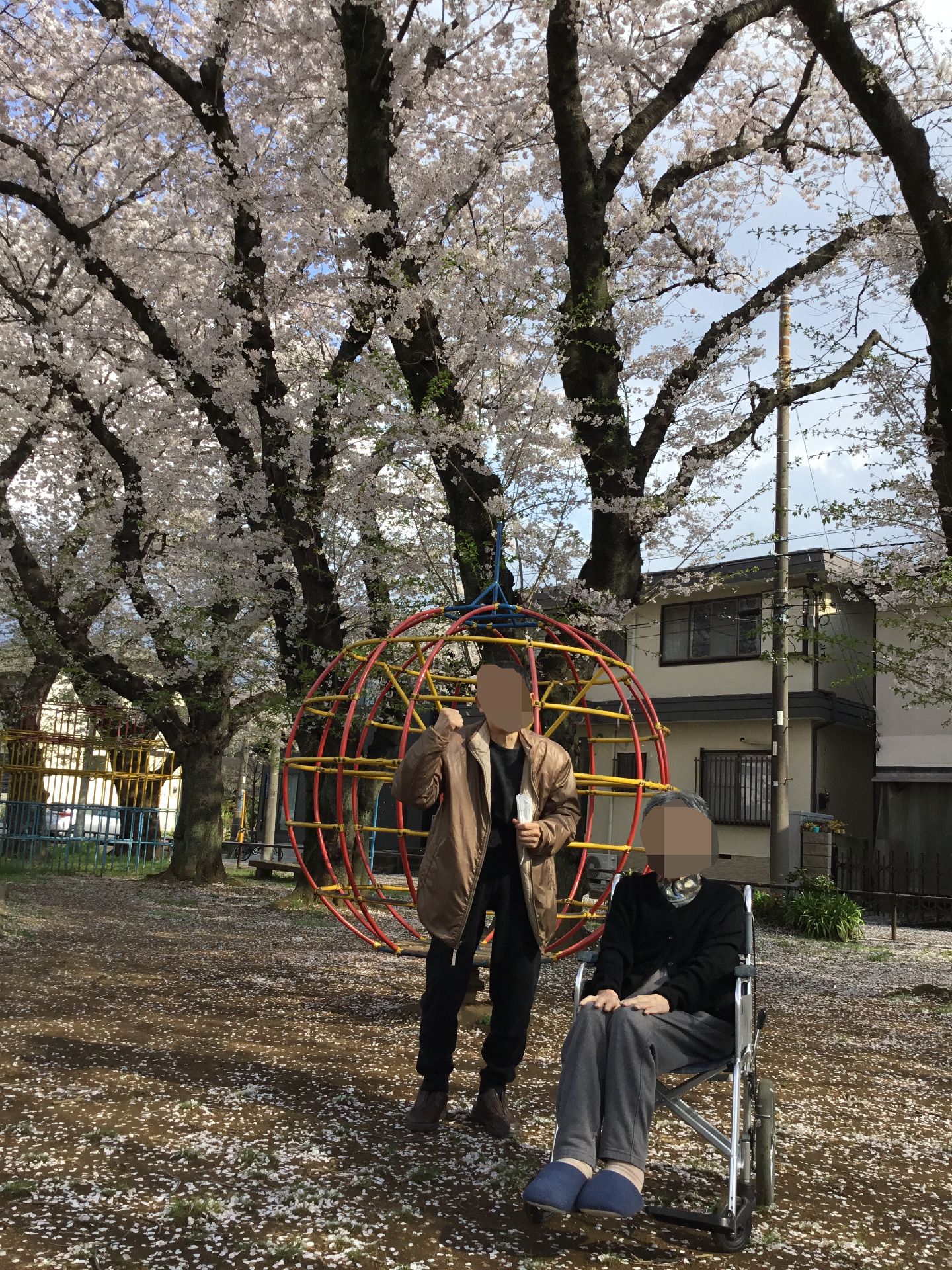 桜の下でくつろぐ人々