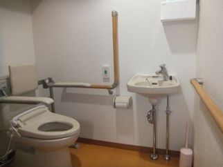 壁全域に手すりが付き、便座にも手すりと背もたれがあり、手洗い場やペーパータオルも設置されている。