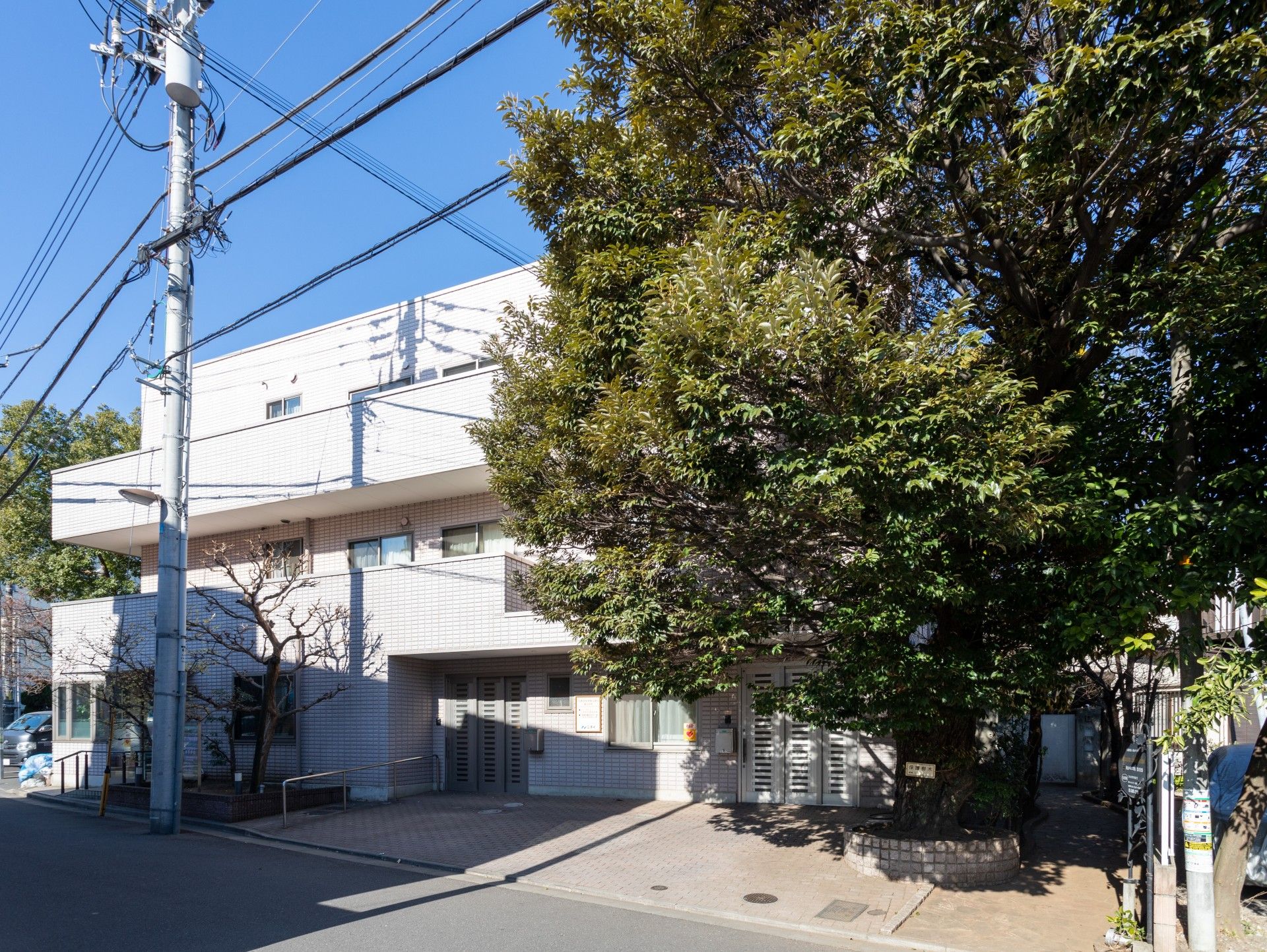 緑に囲まれた建物の外観