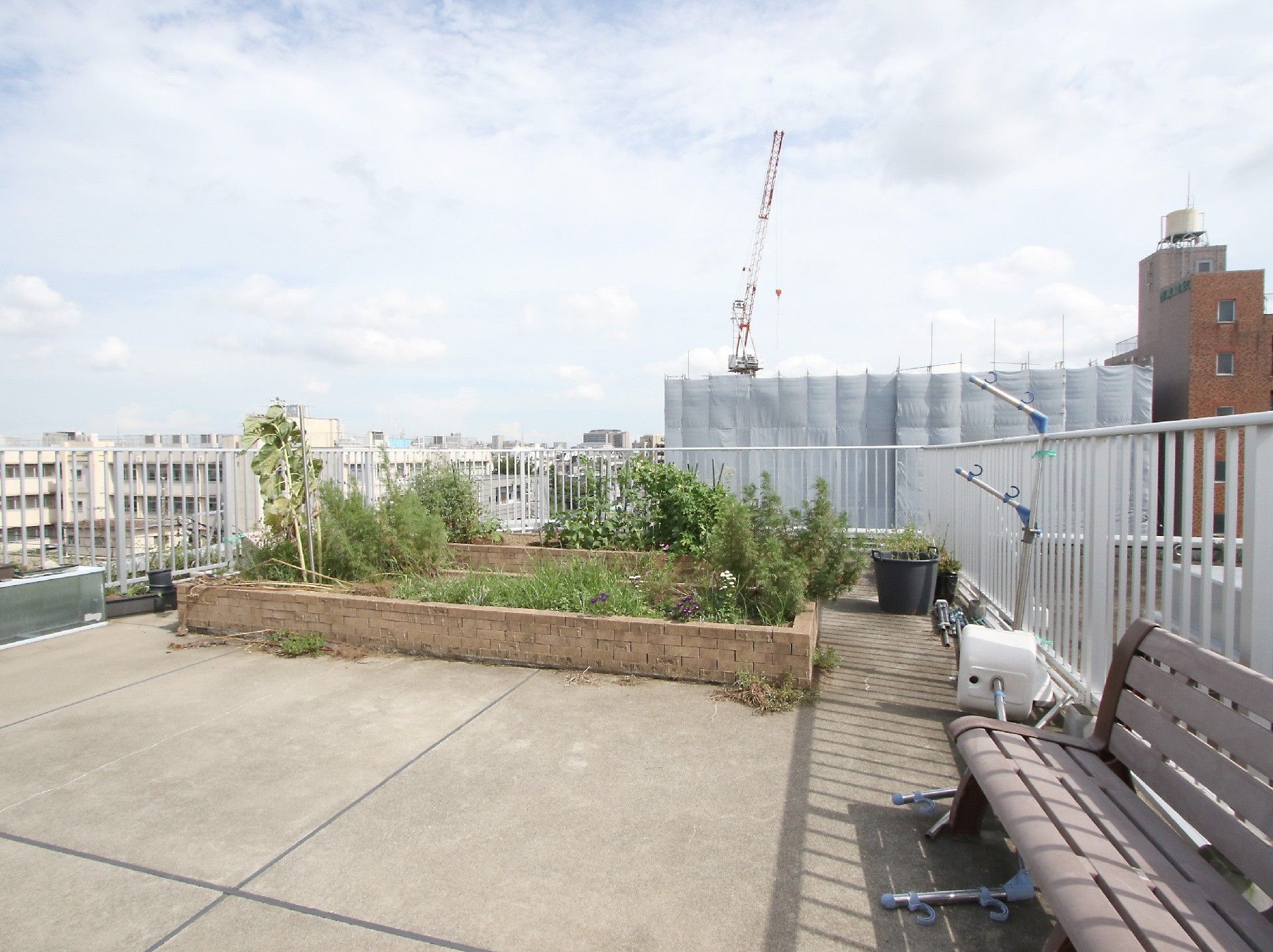 白いフェンスに囲まれた屋上に設けられた植物が植えられた菜園スペース
