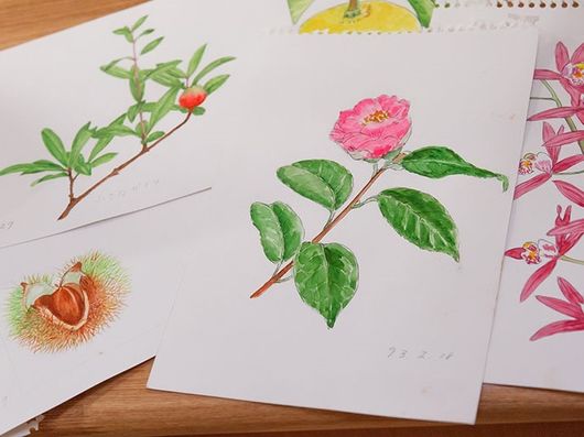 レクリエーション