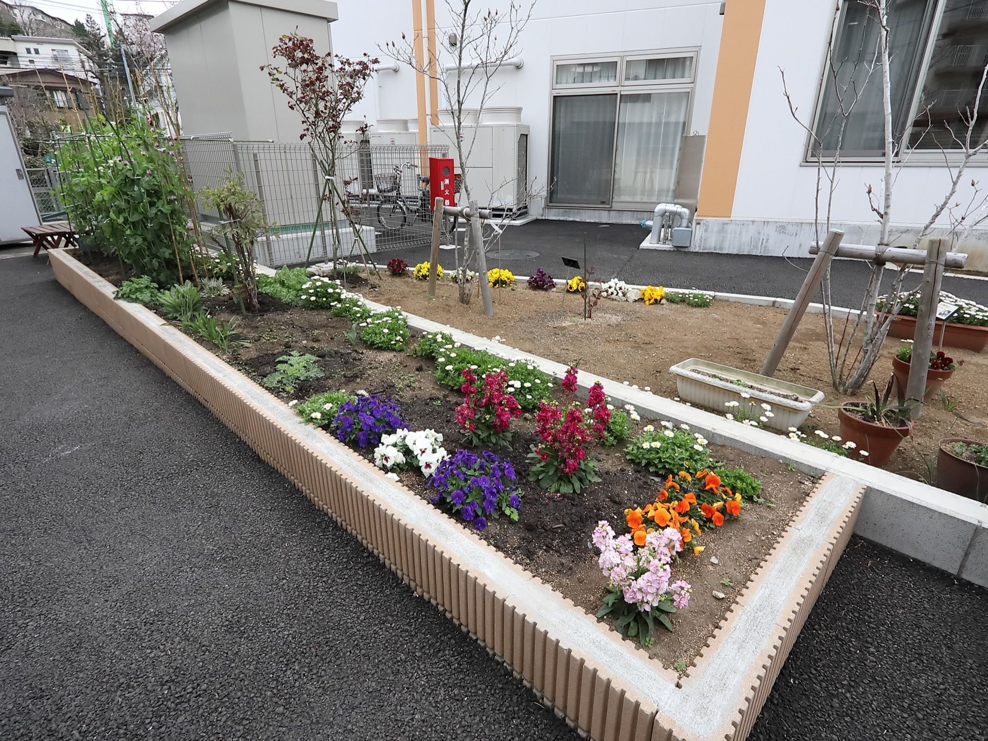 敷地内には花壇が整備されている。オレンジやピンク、青の花が咲いている。奥には消火栓の赤い箱が設置されている。
