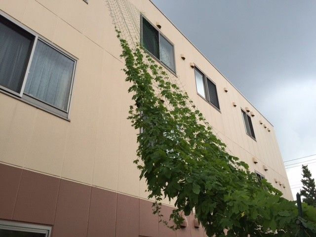 緑豊かな建物外観