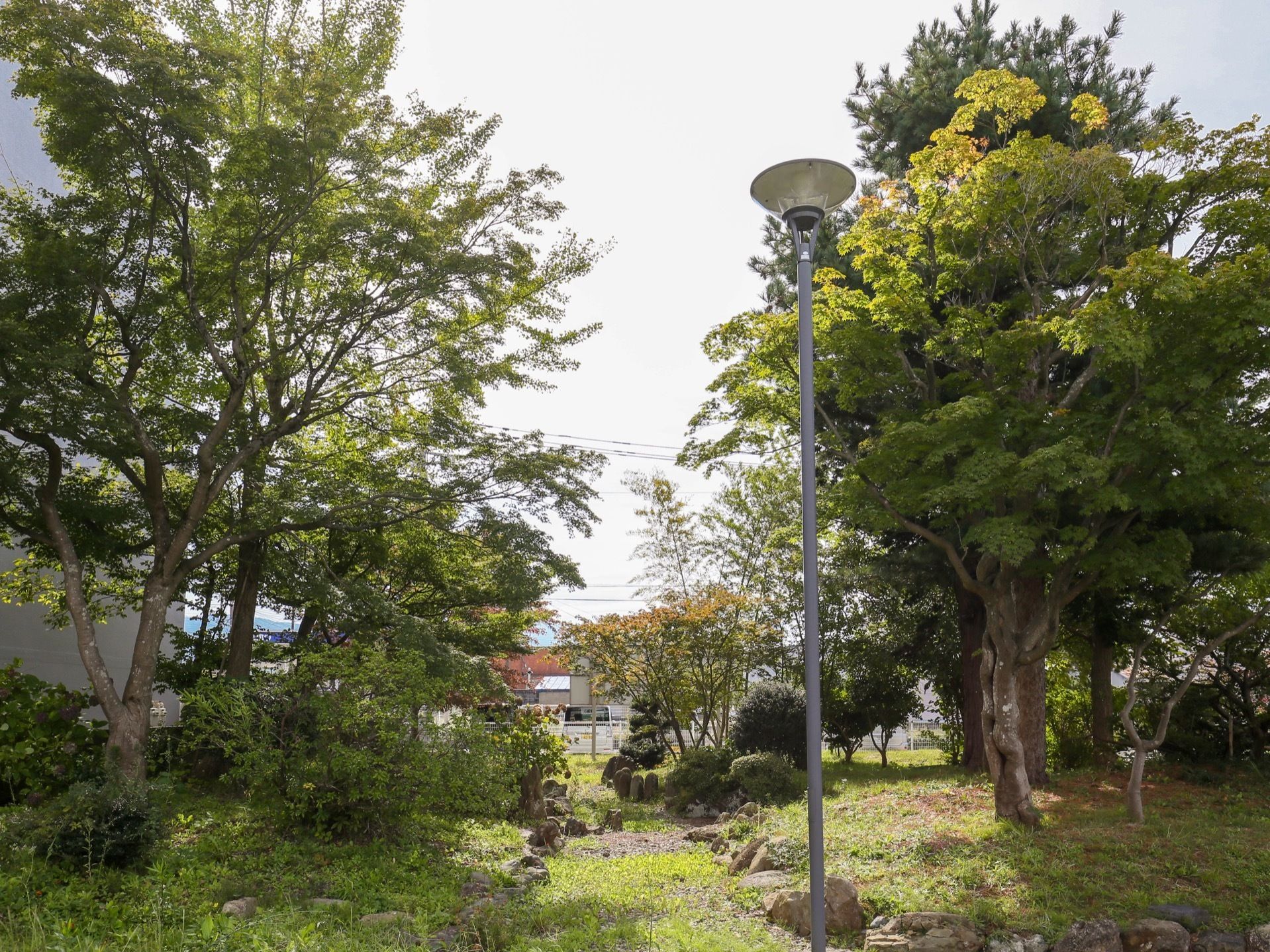 敷地内に芝生で覆われた広い庭がある。中央に該当が１本立っている。周囲はたくさんの背の高い樹木が生えている。