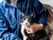 デニムのシャツを着た入居者様が１人、猫を抱え首元に手を置いている。猫は黒と白の模様でこちらを向いている。