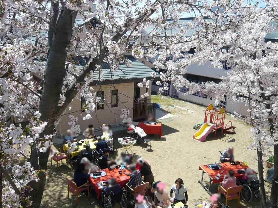 桜の下での交流風景