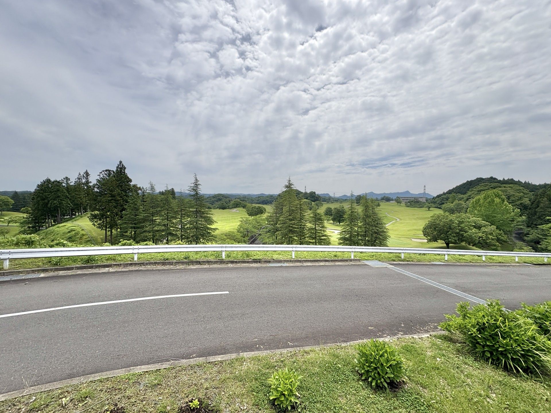 緑豊かな風景の道路