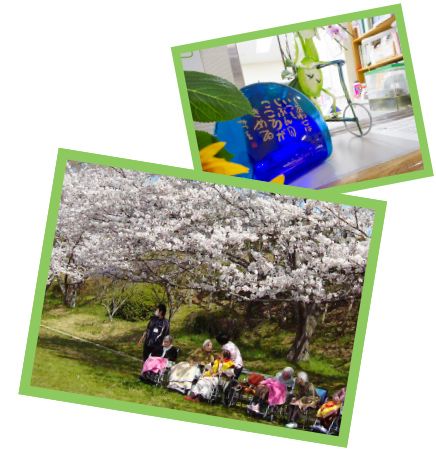 桜の下で憩う人々