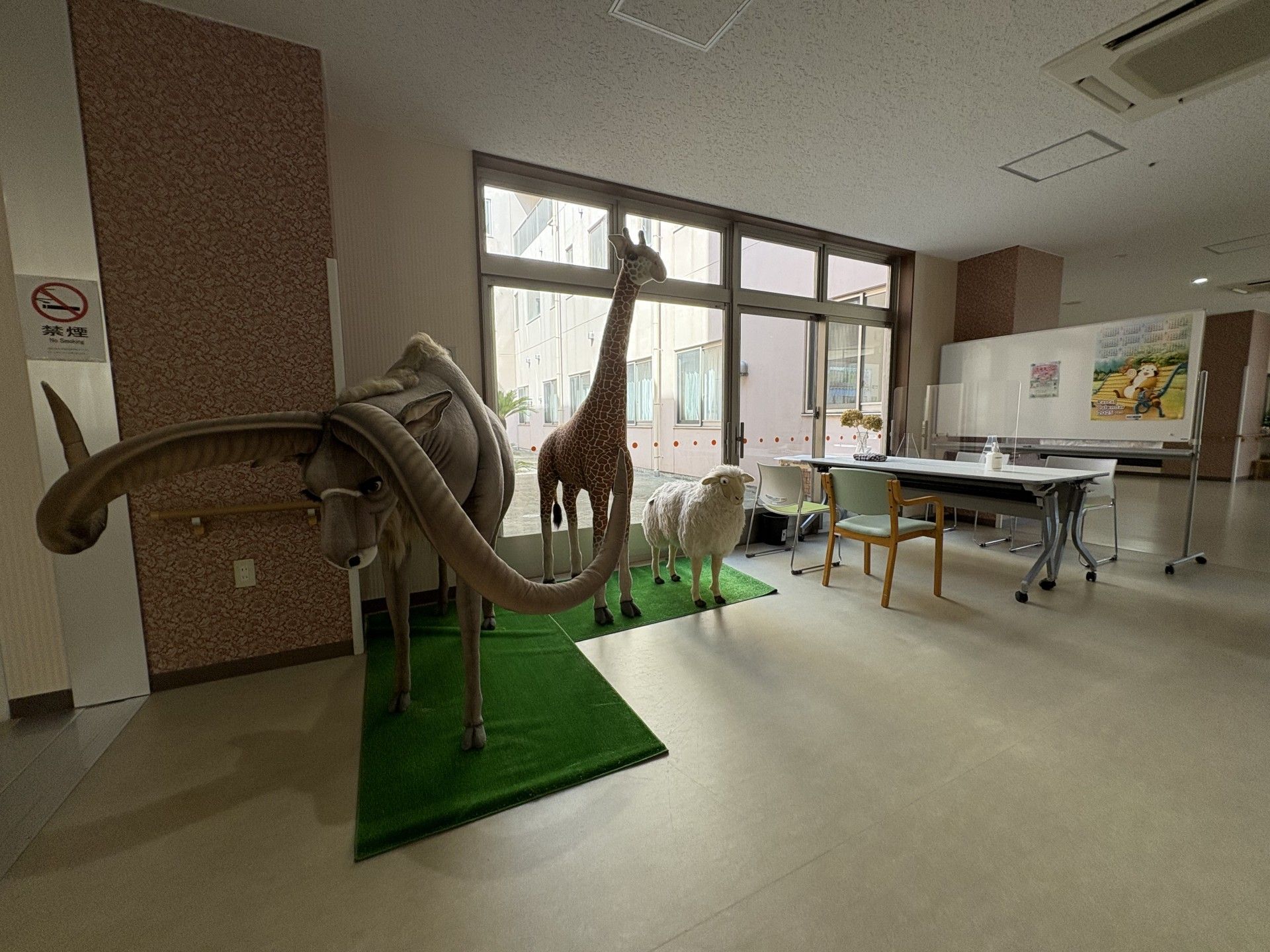 動物模型のあるスペース