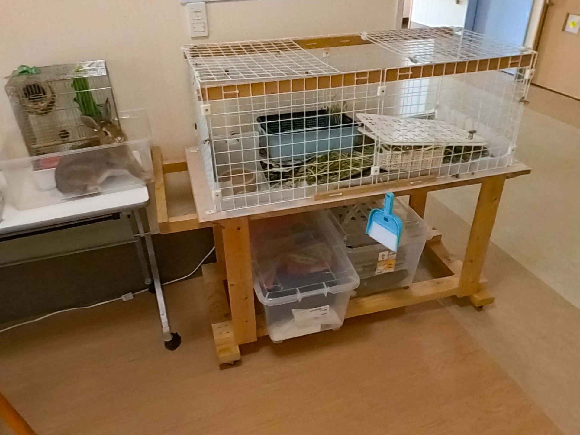 動物たちのいるスペース