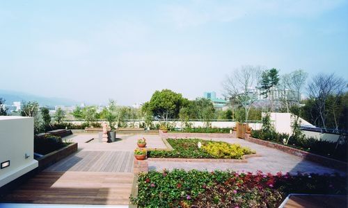緑豊かな屋上庭園