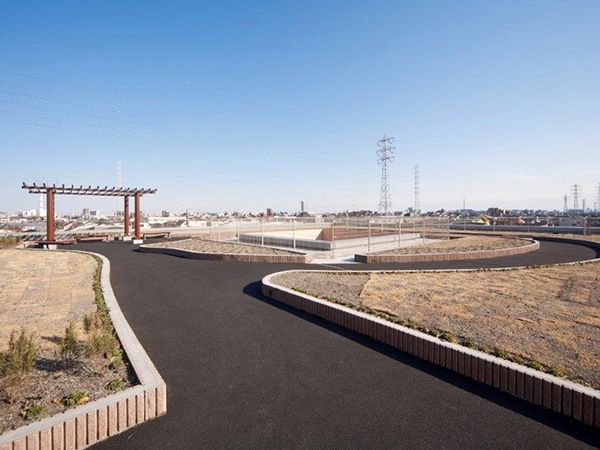 広々とした散歩道