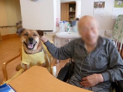 犬と一緒に過ごす時間