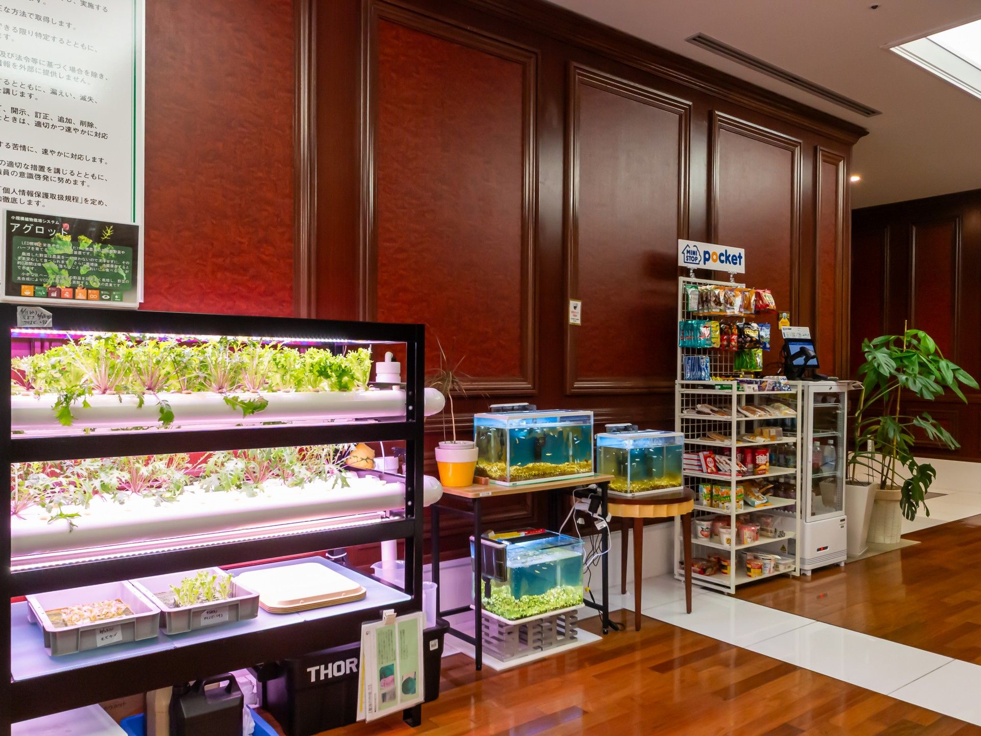 植物と水槽のある一角