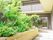 左サイドにたくさんの植物があり、手摺も設備されている1階のお庭