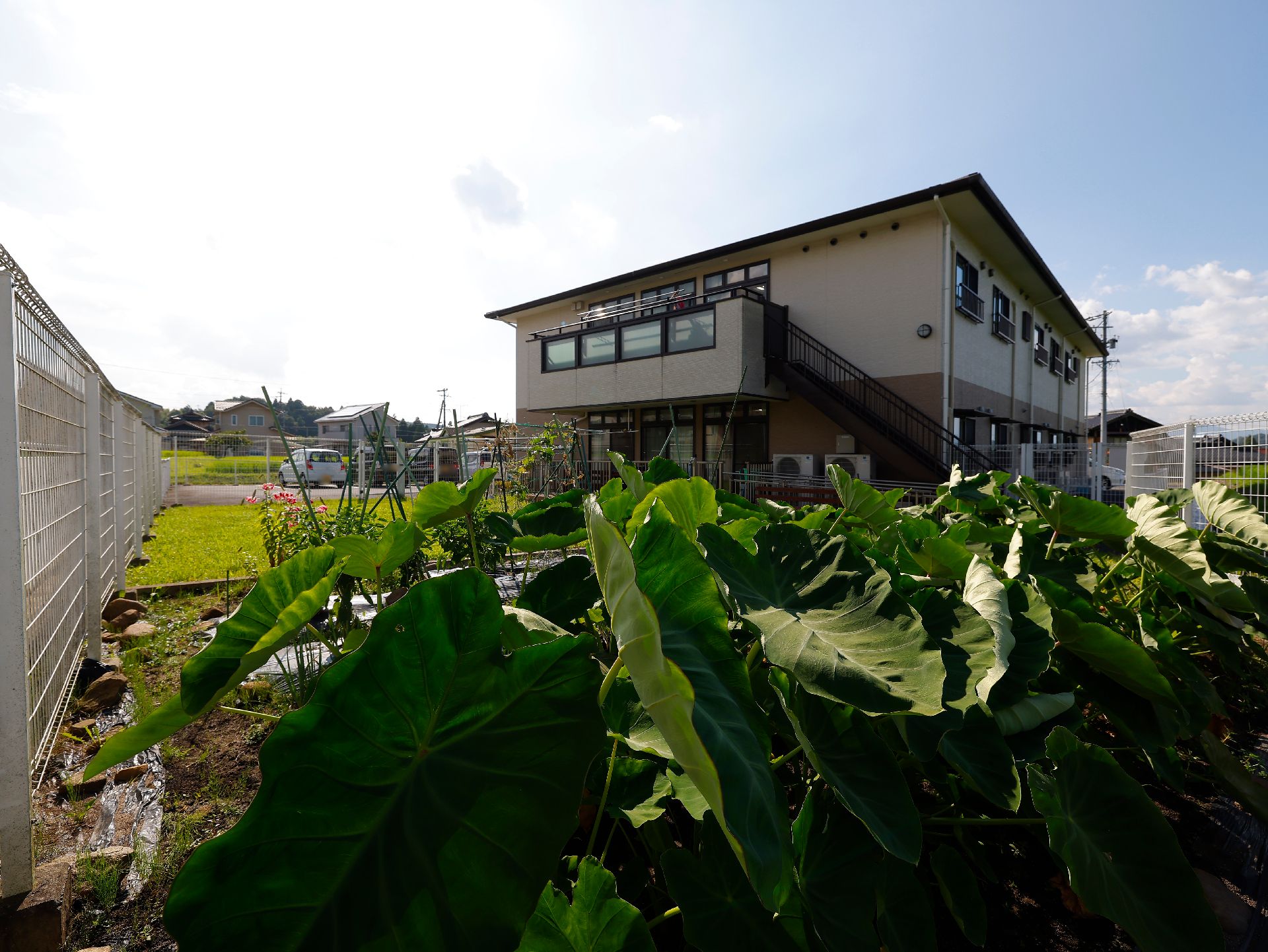 中庭の一角に整備され、毎日入居者が世話をしている菜園