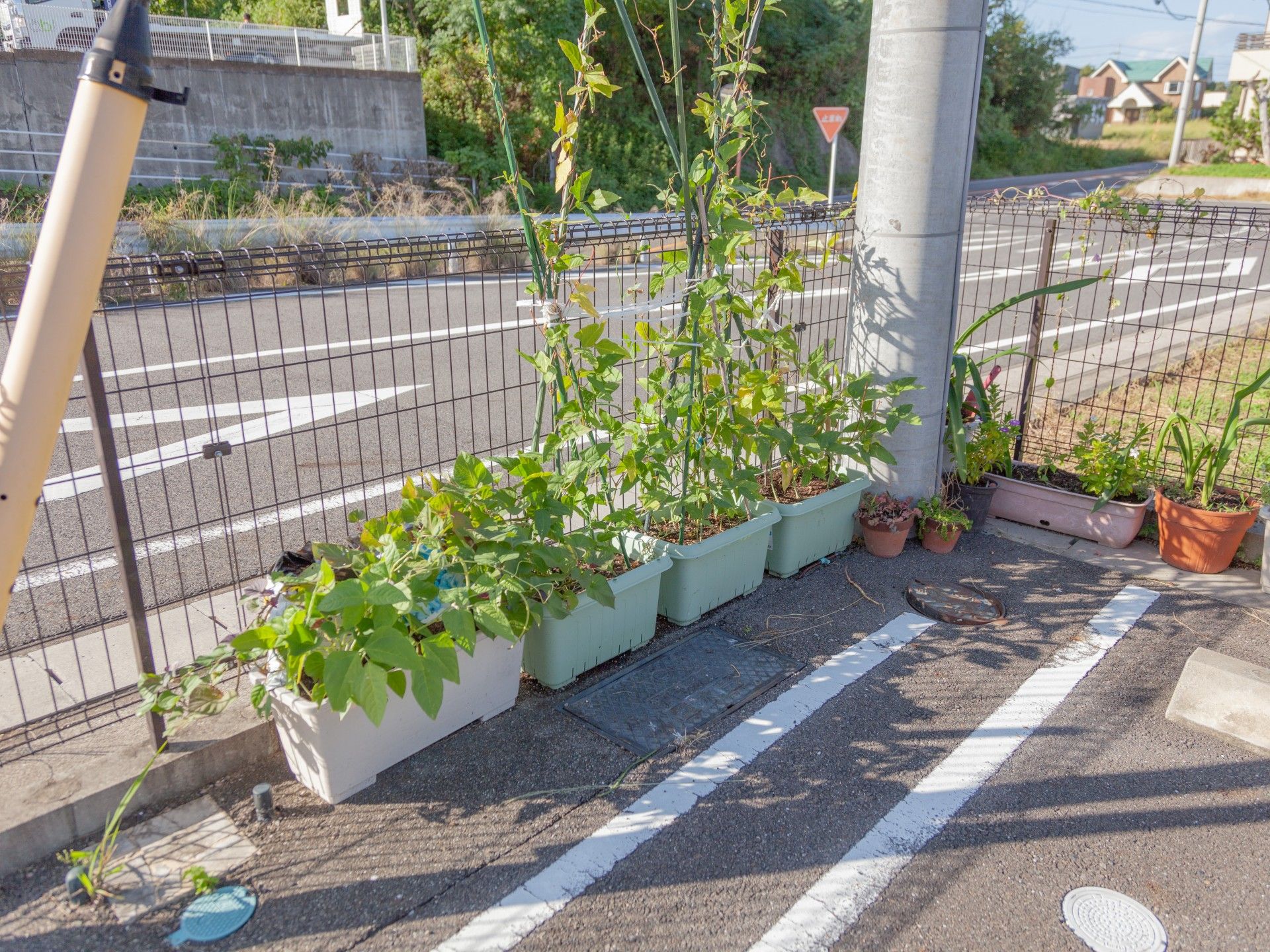 植物を育てることができる施設