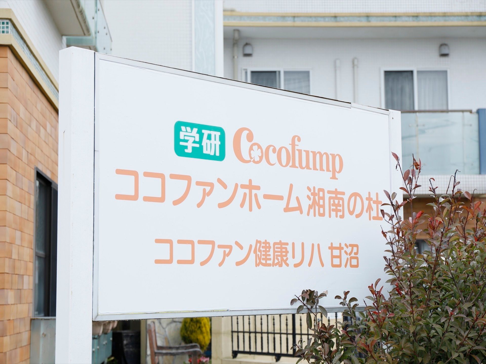 ココファンホーム湘南の杜の共有スペース。毎日沢山の入居者様で賑わう、楽しい日常風景となっております。
