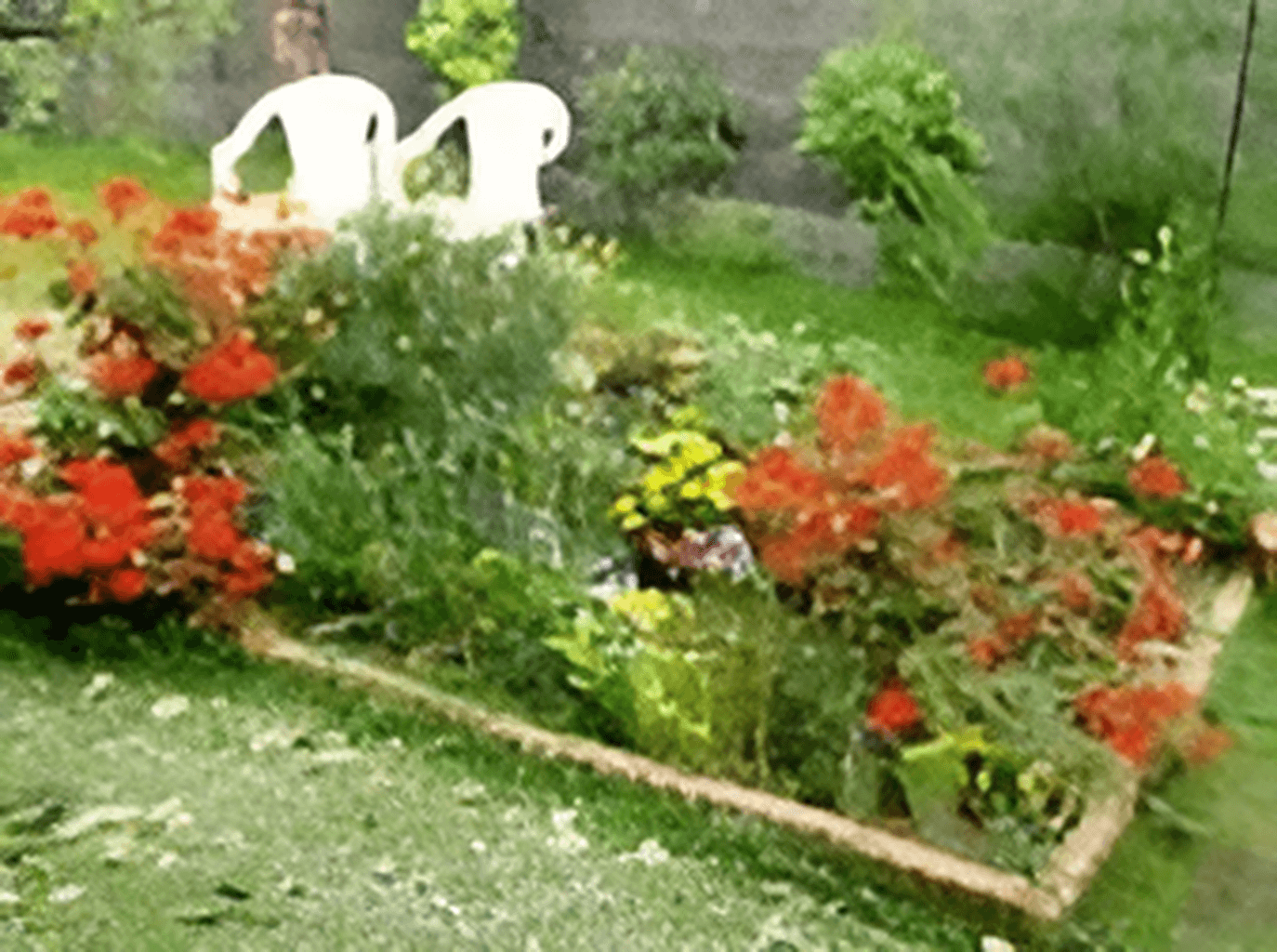 植物を育てられる中庭の様子。小さな花壇があり花が植えられている様子