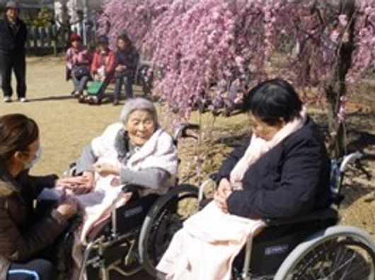 花見