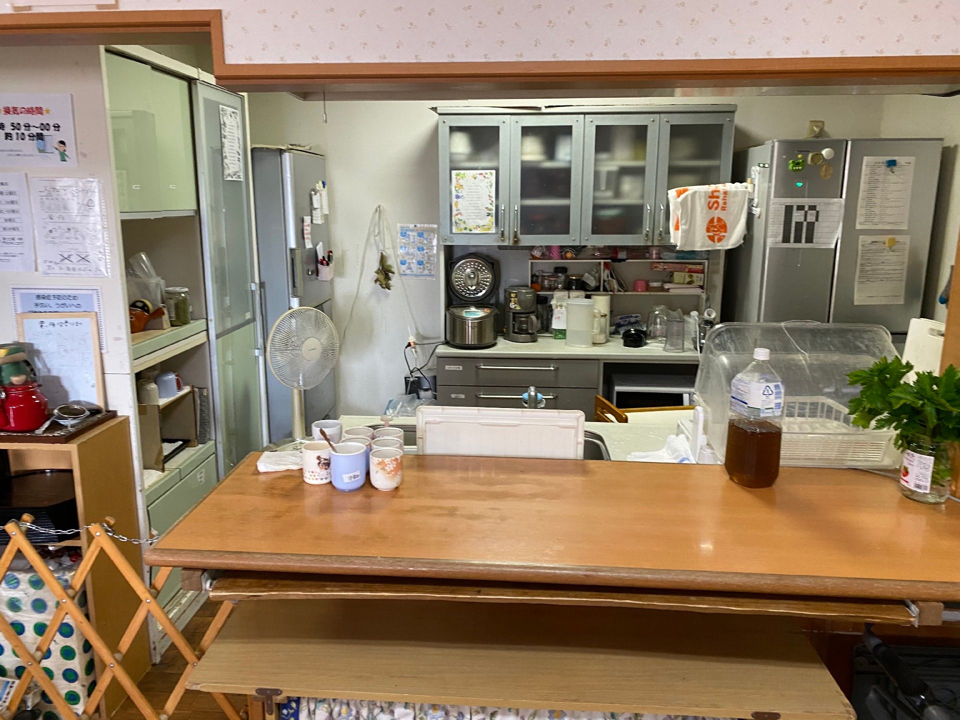 ピンクのエプロンを付けた女性スタッフと車いすの高齢女性が緑の多い屋外で散策を楽しんでいる様子。スタッフが車いすを押している。