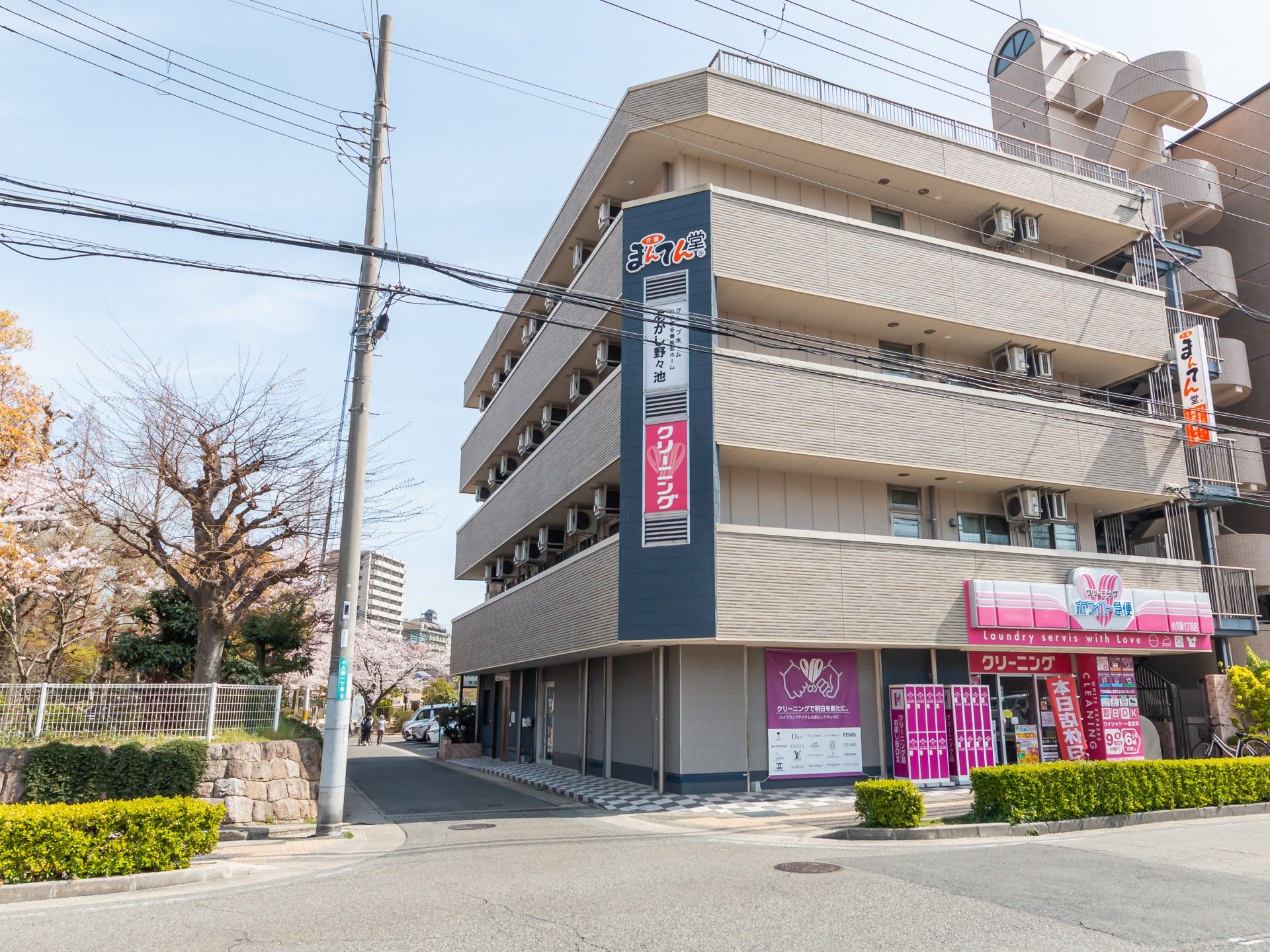 桜並木のある建物外観