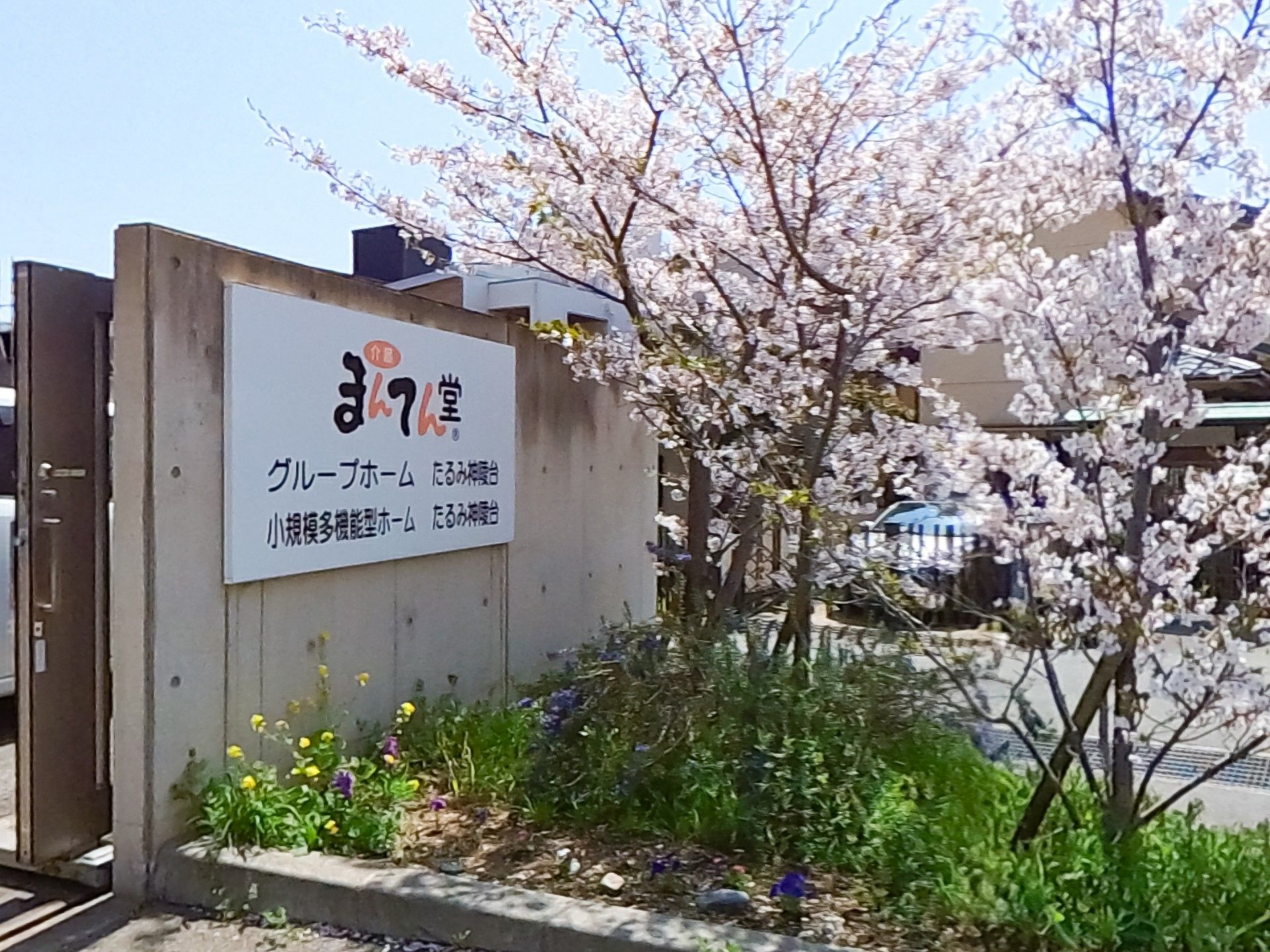 桜の咲くエントランス