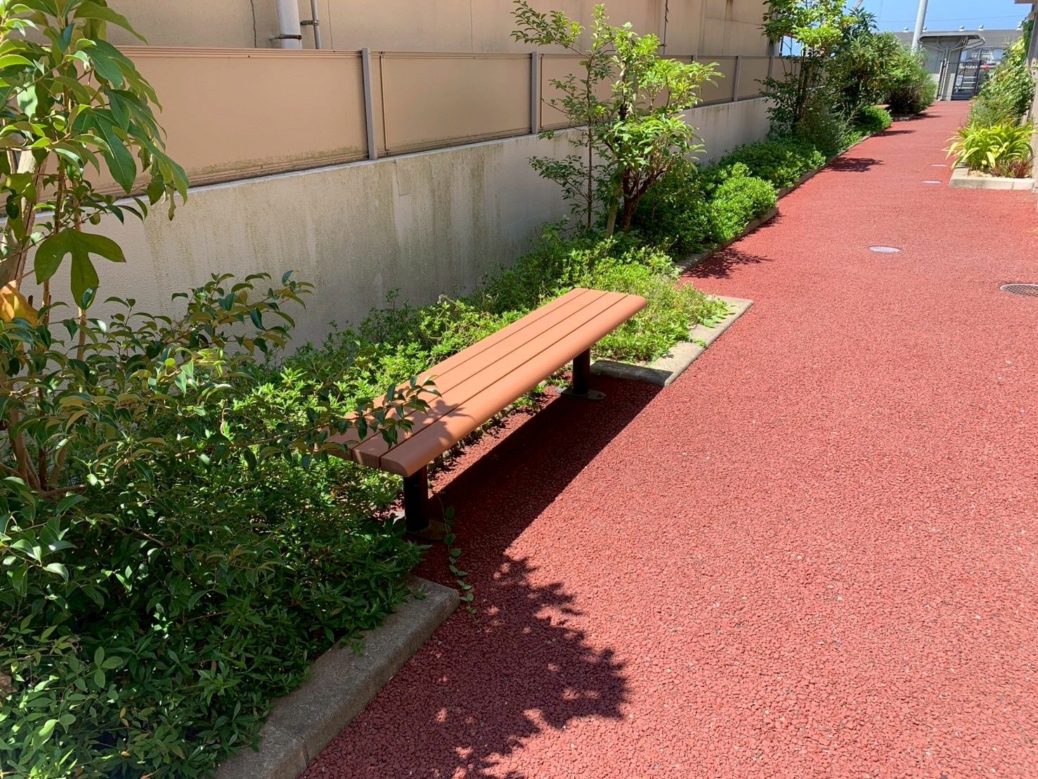 緑に囲まれたベンチ