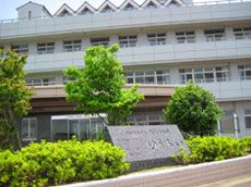 緑に囲まれた建物正面