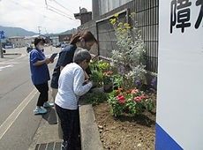 木陰にいる車椅子に乗った高齢男性と付き添う女性ヘルパー