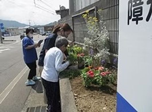 庭