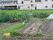 たくさんの野菜が植えられた畑。小さなビニールハウスもある。