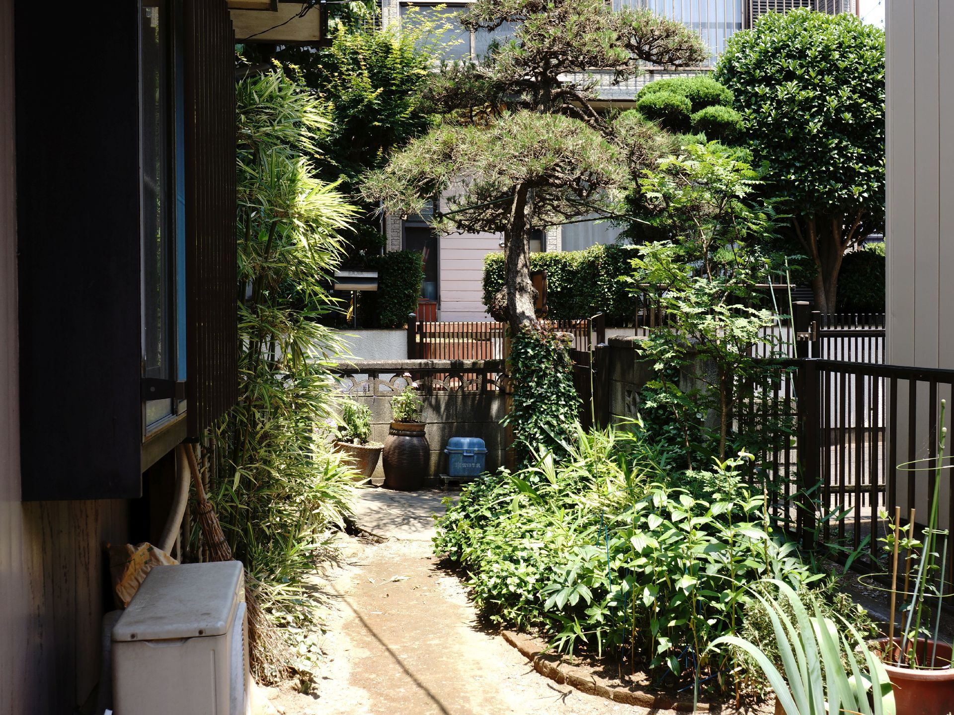 広々としたガーデンスペースには、たくさんの木々が植えられている。また庭にはエアコンの室外機も置かれている。