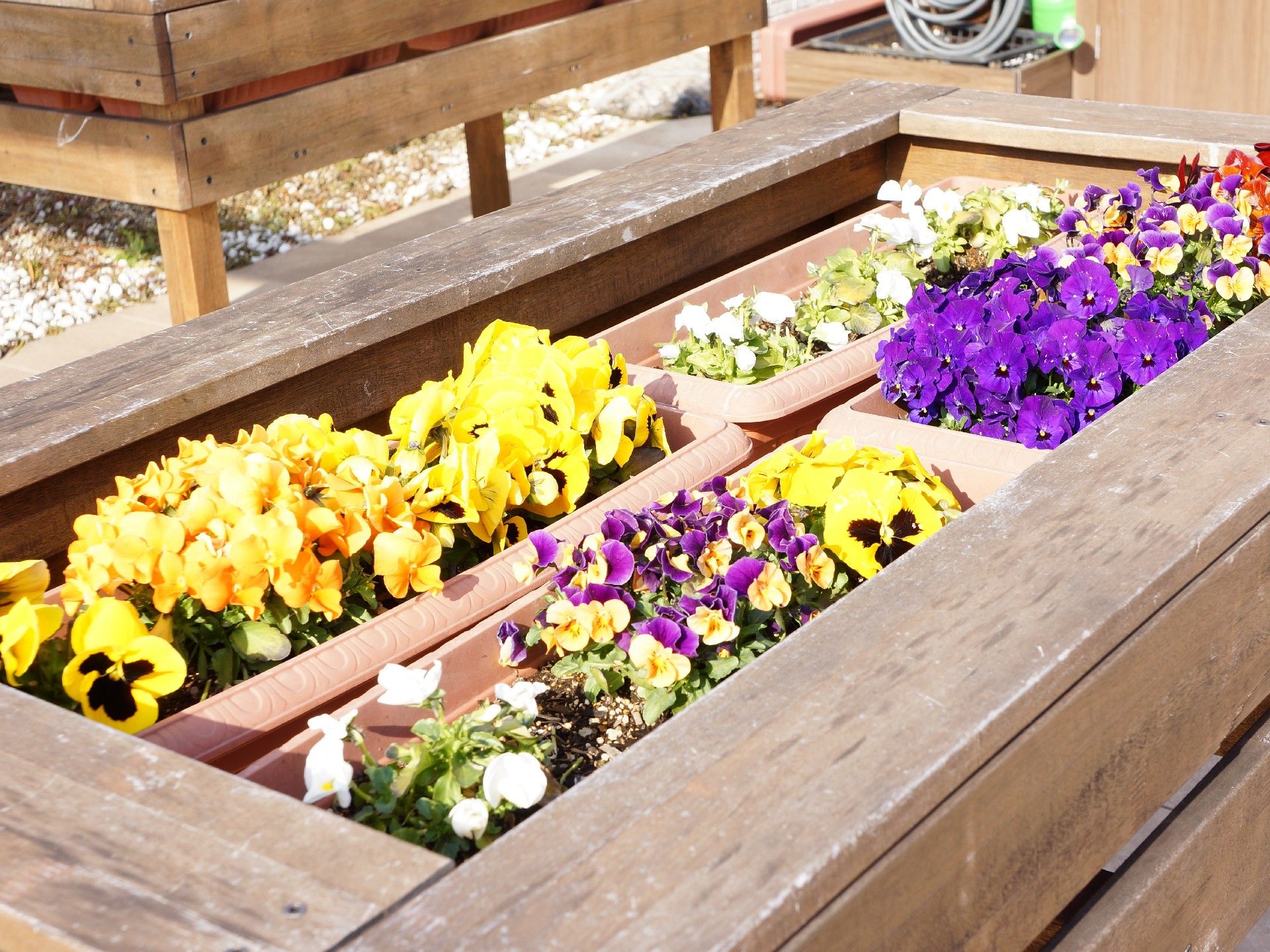 屋上のガーデンスペースにはパンジーやたくさんの花々が手入れされて咲いている。