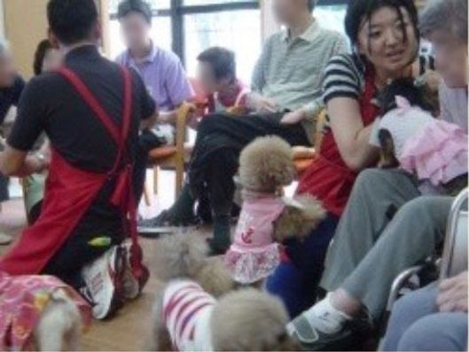 アニマルセラピー