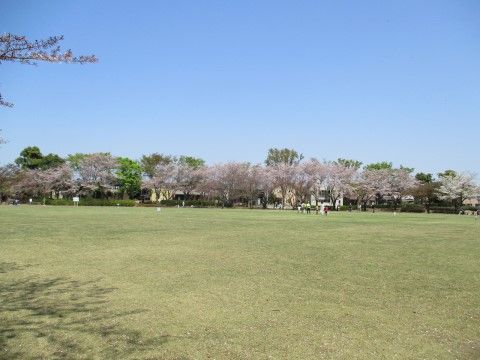 近隣には自然溢れる大きな公園がある。入居者様も四季折々の景色を眺めながら、散歩を楽しむことができる。