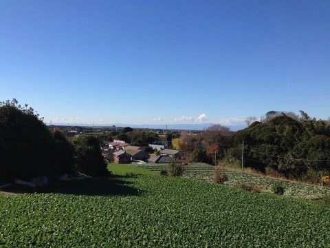 青空の下住宅が遠くの方に見え、緑が生い茂る田園風景