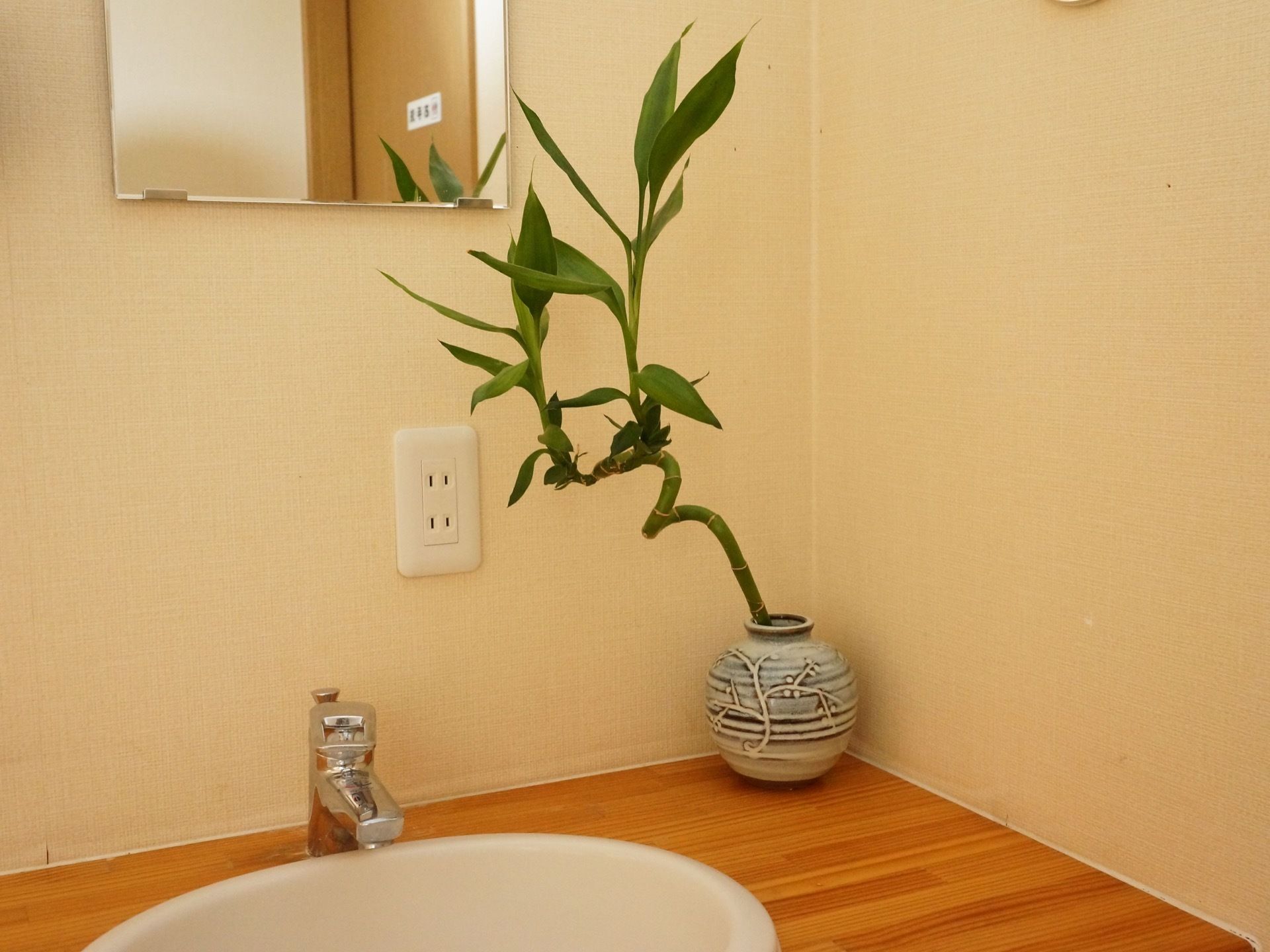 洗面台が備え付けられており、水道の蛇口は楽に水を出せるようになっている。鏡も設置されているので、身だしなみを整えるには十分である。