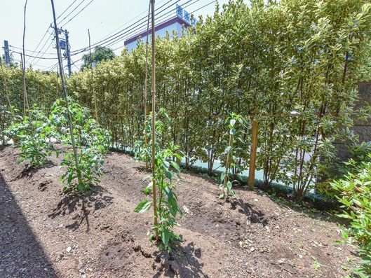 日当たりのよい畑