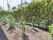 建物の前に、生け垣に囲まれた畑がある。日当たりが非常によく、植物がどんどん成長していく様子を楽しむことができる。