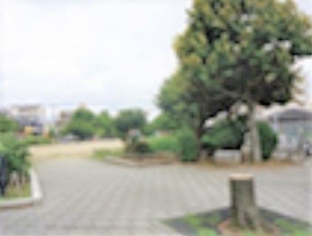 きれいに整備された公園。石畳の通路の両側には植物や木が植えられている。周囲は開けていて開放的な公園である。